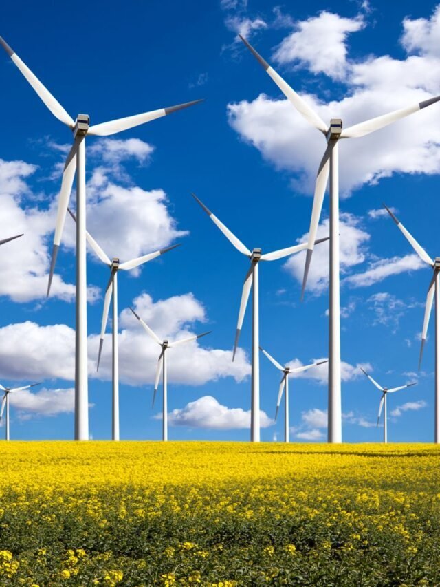 5 Renewable Energy Stocks make you rich in future